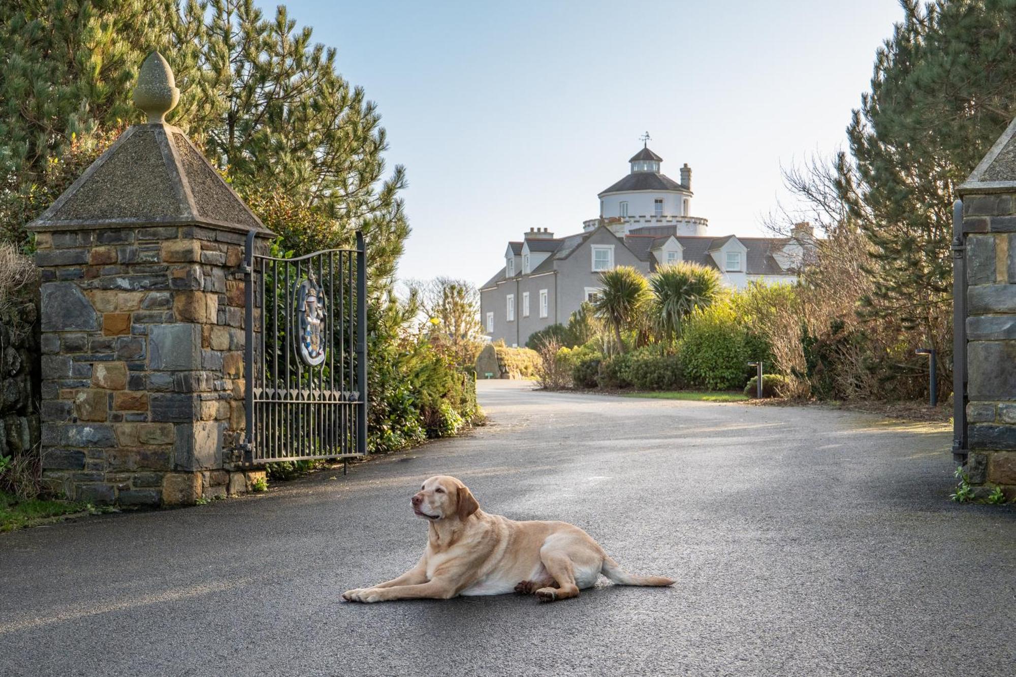 Twr Y Felin Hotel Saint David's Extérieur photo